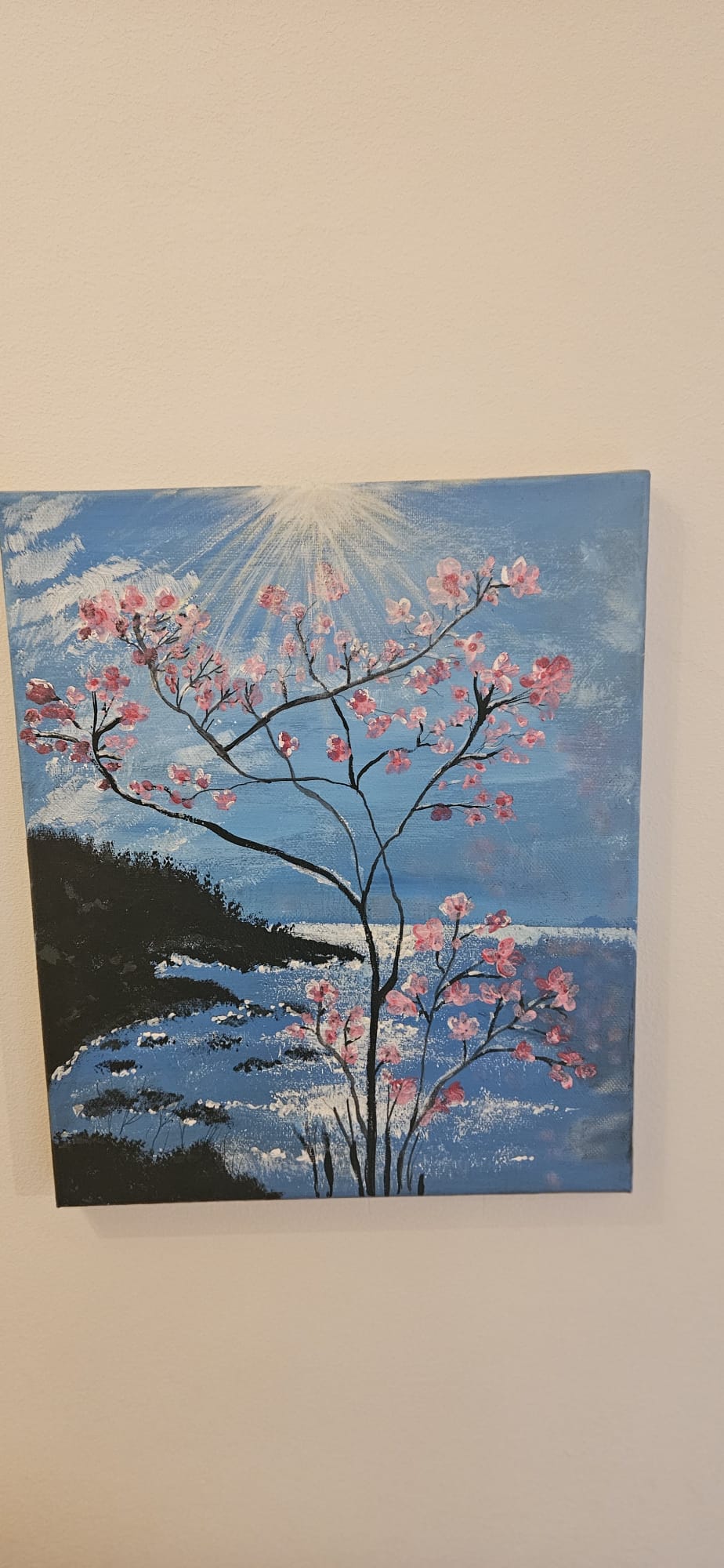 Melonai pictura portofoliu_melonai_13.jpg